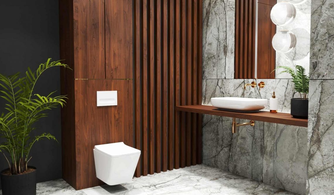 Marble bathroom design toilet vanity view